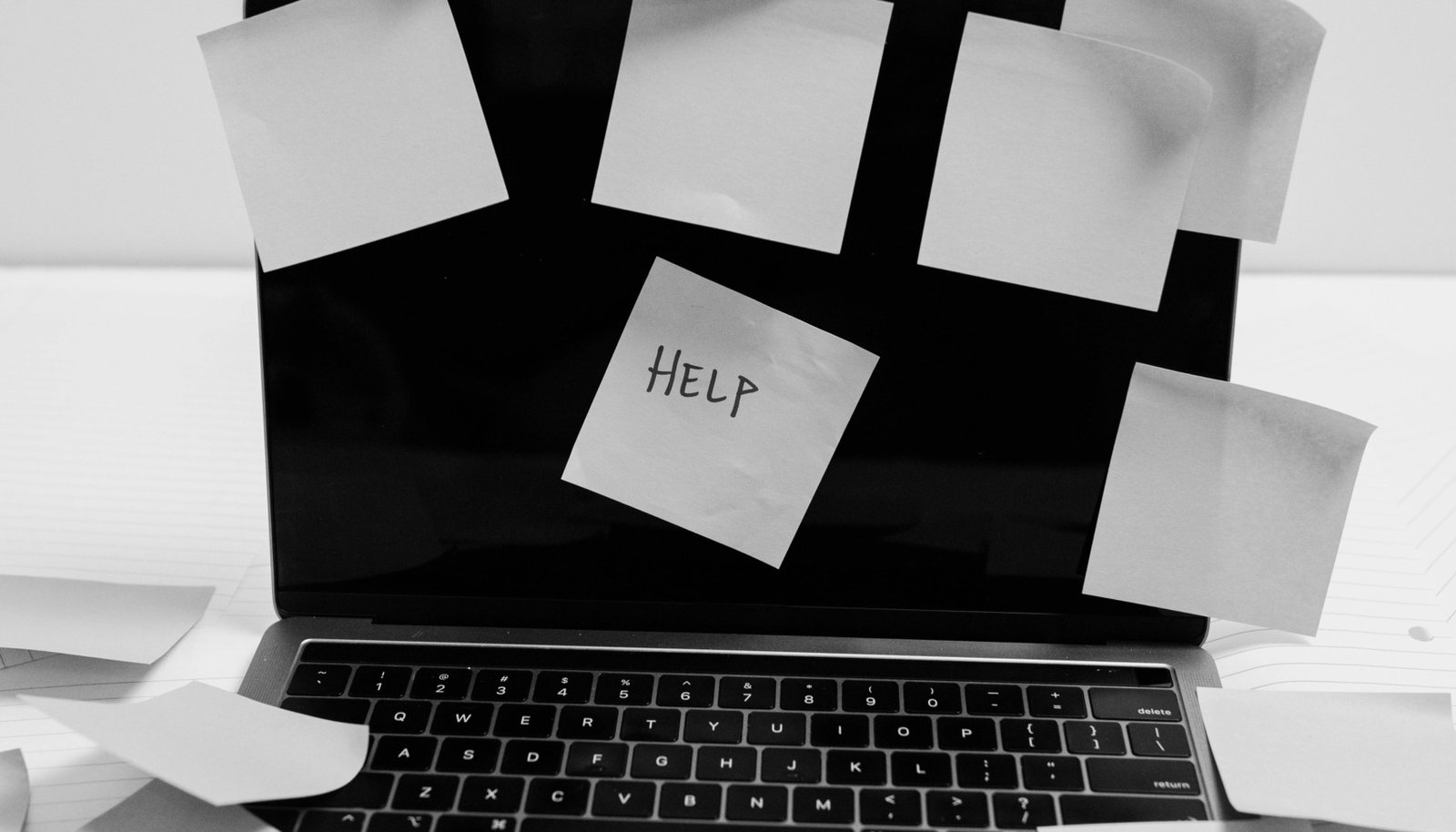Startup Struggles